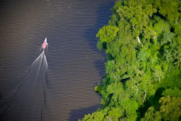 Pará tem plano para recuperar 5,6 milhões de
hectares