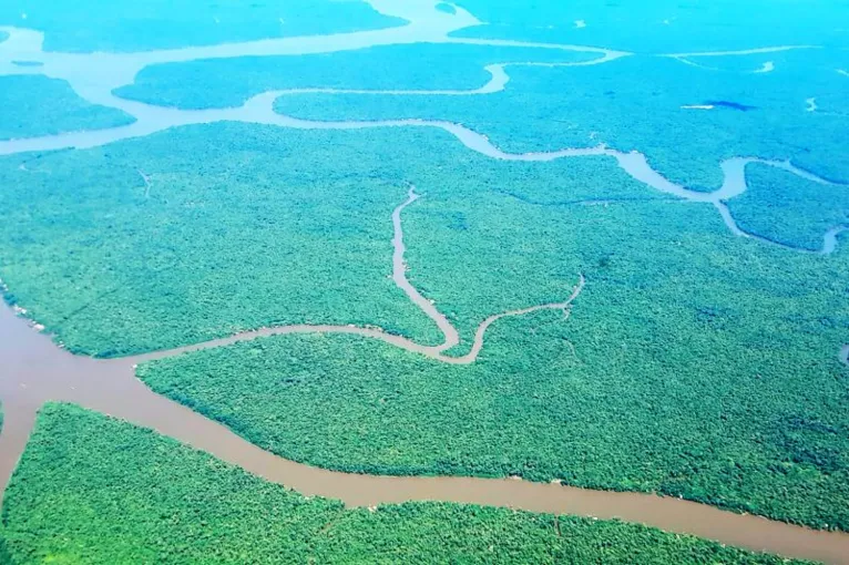 Pará tem plano para recuperar 5,6 milhões de
hectares