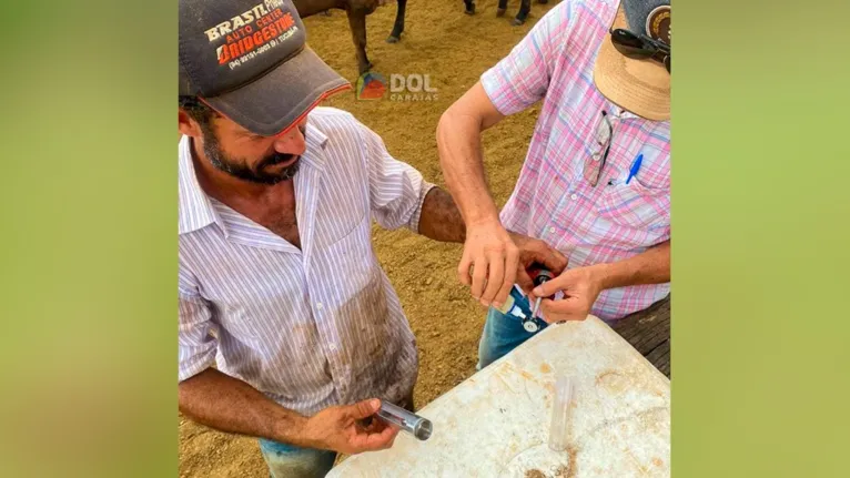 A vacinação ainda é obrigatória no Pará