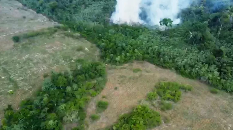 Clareiras já são vistas na área de preservação ambiental da fazenda