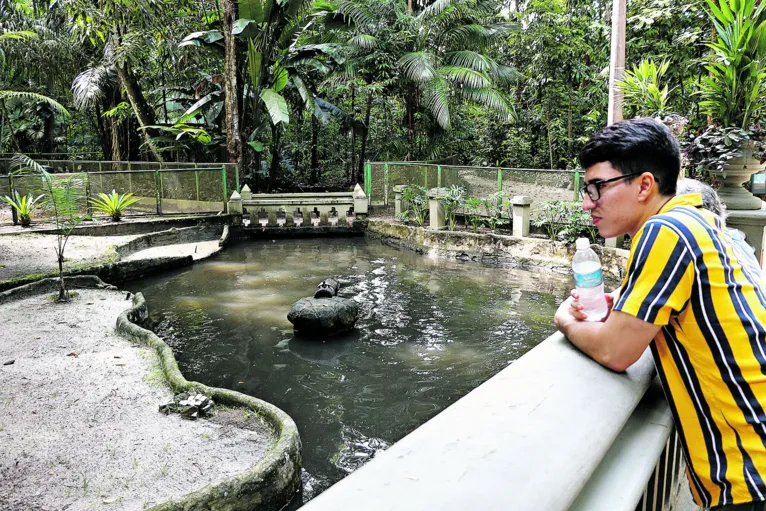 Em época de férias a melhor pedida é passear nos Museo e Bosques da cidade.