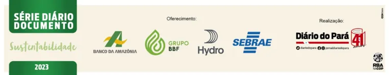 Sustentabilidade convida leitor a se preparar para a COP 30