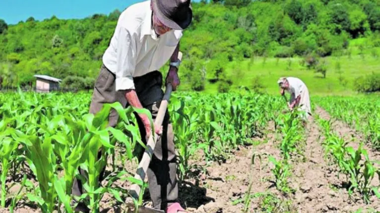 Proposta do senador garante geração de mais renda e empregos para a agricultura familiar