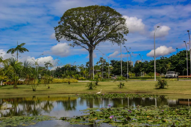 Utinga é uma opção para aquela boa atividade física no meio da natureza