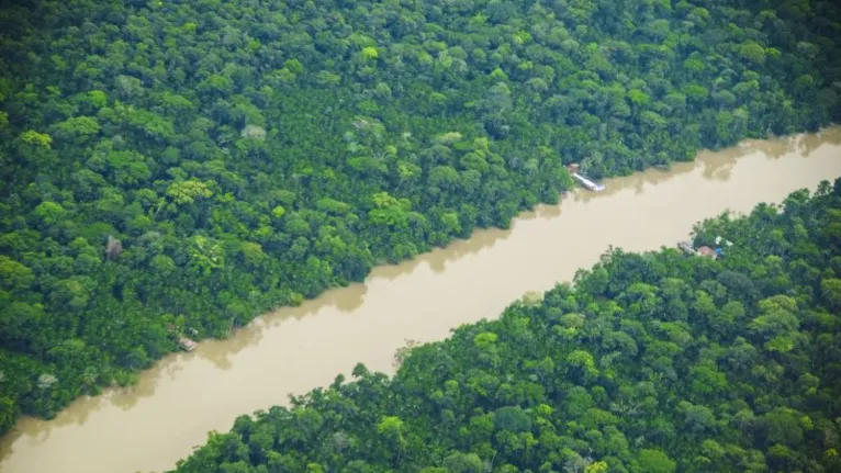 Amazônia se tornou o principal foco do mundo