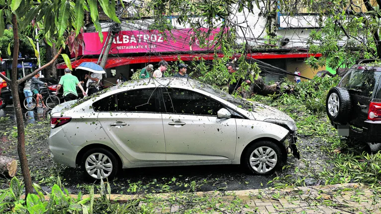 Carro foi danificado após queda de árvore