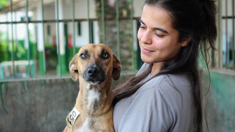 Animais passam por exames antes de serem adotados