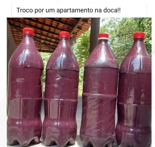 Preço do açaí gera memes entre os paraenses; confira!