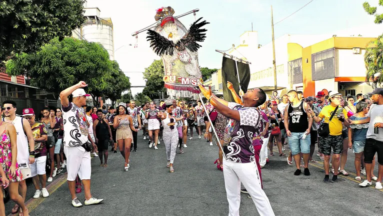 Já foi para a folia?