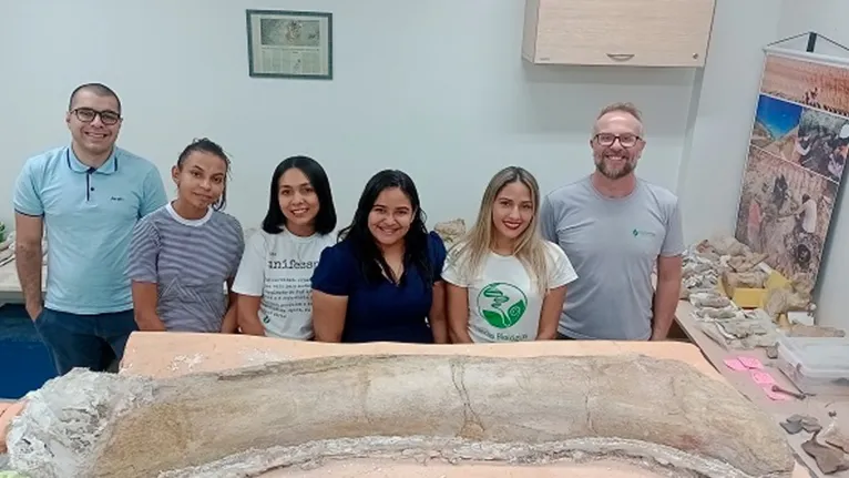 Os fósseis foram escavados pela equipe do Gepaleo (Grupo de Estudos em Paleontologia) da Unifesspa