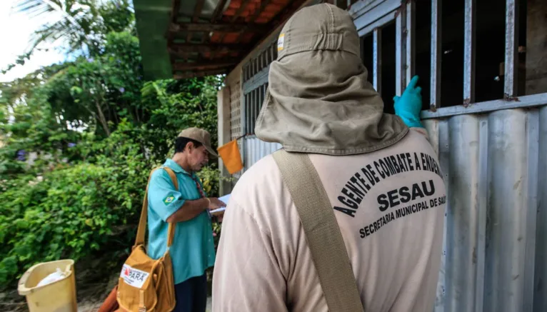 O mosquito Aedes aegypti é transmissor da dengue, zika e febre chikungunya, doenças que exigem atenção constante da saúde pública e da população brasileira.