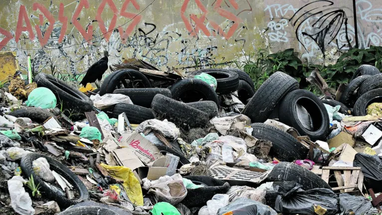 Descaso total: ruas de Ananindeua estão tomadas de lixo