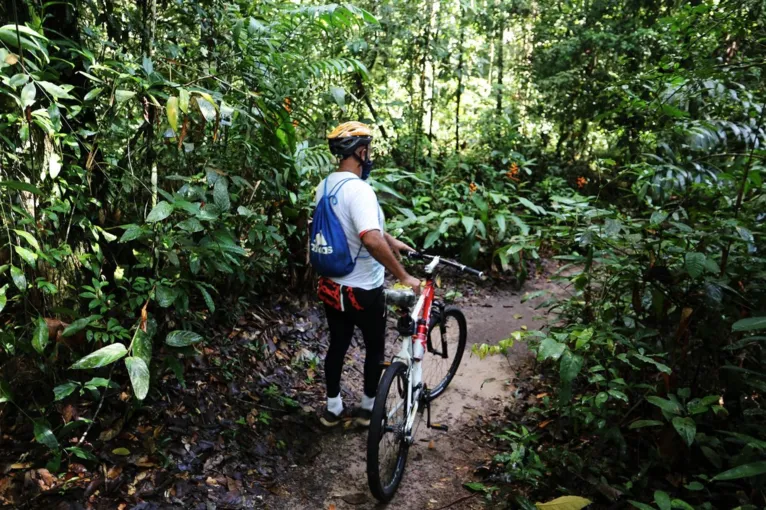 Uma verdadeira selva no meio da cidade