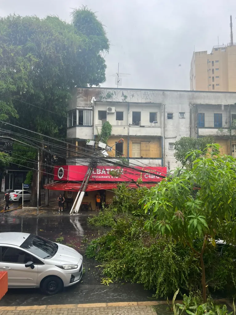 Trânsito é normalizado após retirada de árvore em Nazaré