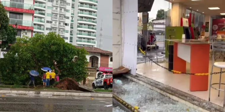 Queda de árvore e danos em estabelecimentos e casas foram algumas das ocorrências provocadas pelo temporal que caiu em Belém na tarde desta sexta-feira (5)