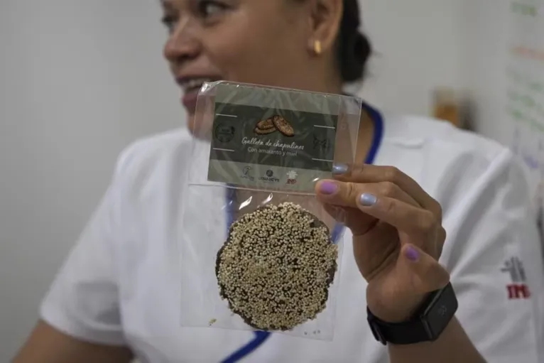 Enfermeira mostra cookie feito com farinha de gafanhoto