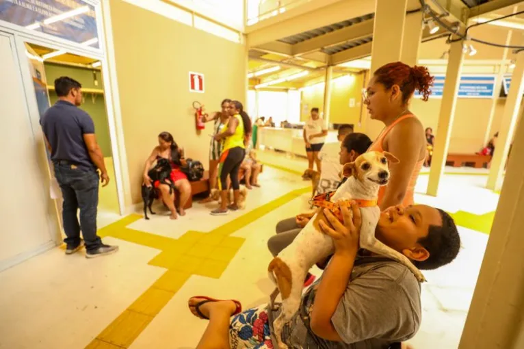 "Pará Patas" leva serviço de saúde gratuito a pets em Belém