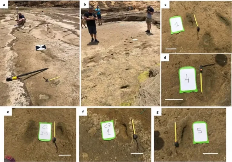 Imagens de algumas pegadas de hominídeos em Larache, Marrocos.