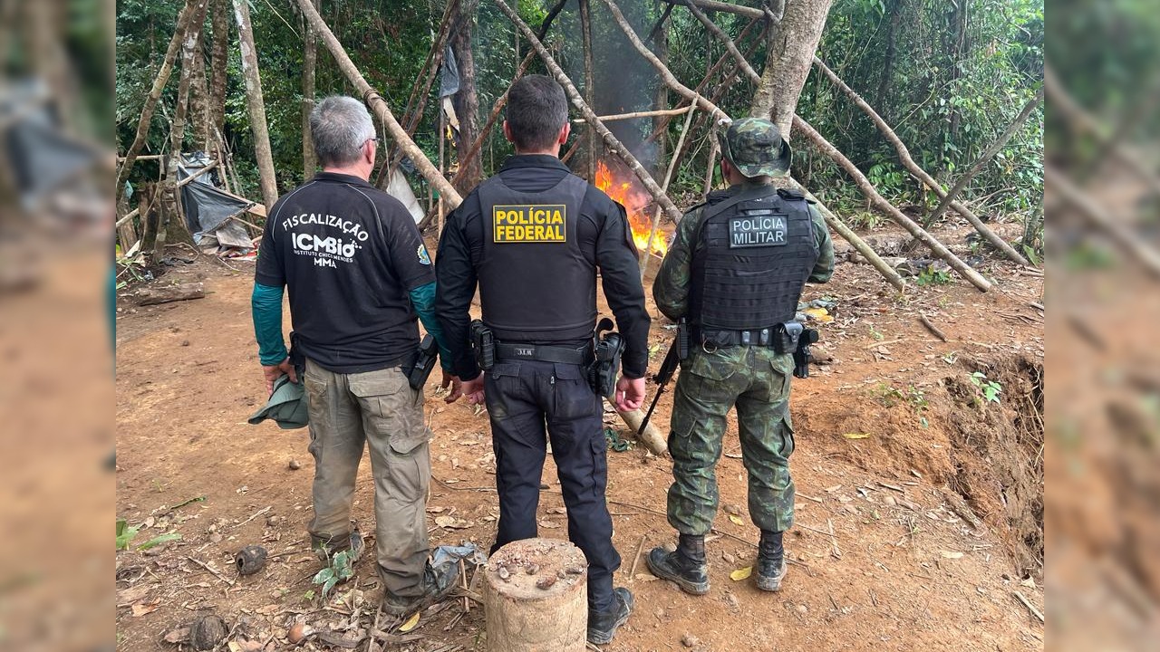 Ação contou com agentes do ICMBio, Polícia Federal e Polícia Militar