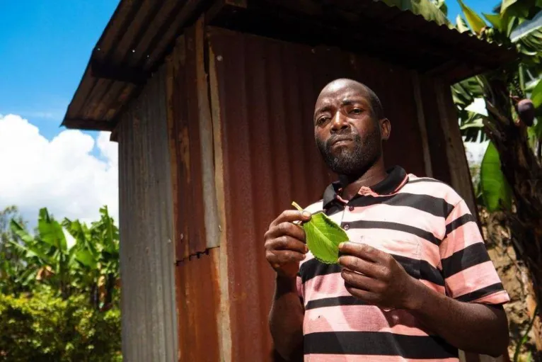 Benjamin, que utiliza o boldo há mais de 25 anos, cultiva a planta no quintal dele