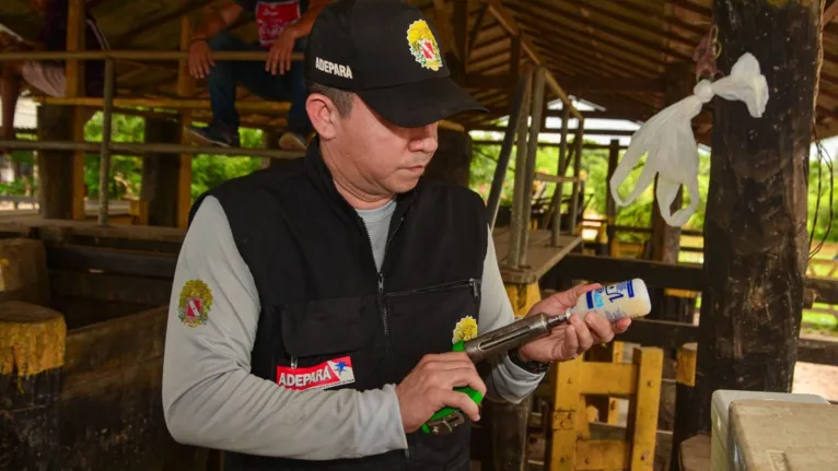 O novo status sanitário é um marco para a pecuária paraense, resultado do trabalho que é desenvolvido pela Adepará há mais de 20 anos