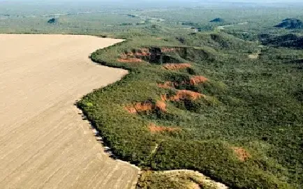 Desmatamento do cerrado aumenta o risco de colapso hídrico