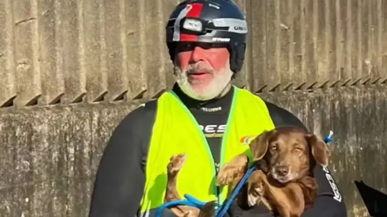 Frota salva animais e faz desabafo no RS: “dormi no carro”