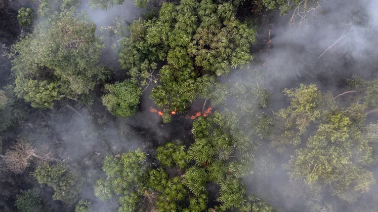 Documentário mostra brigadistas que combatem incêndios