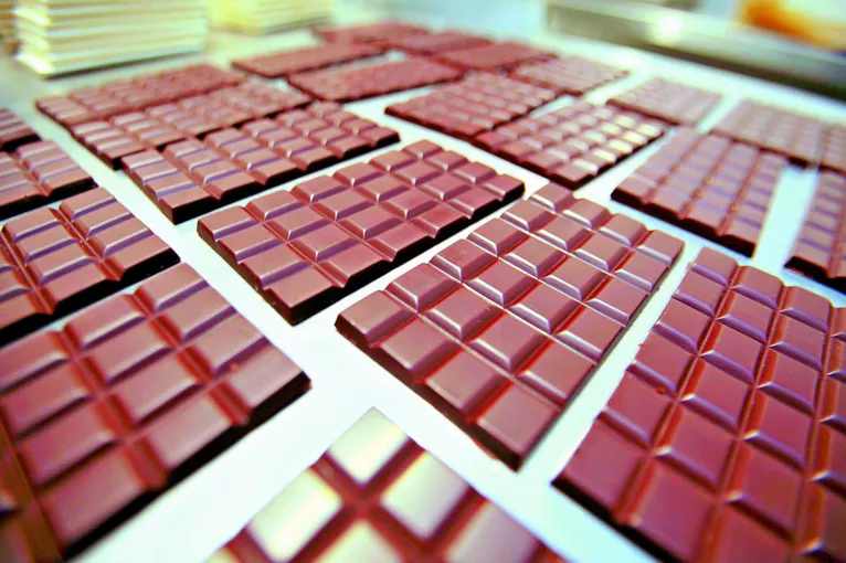 Chocolate paraense ganha qualidade com o cacau local