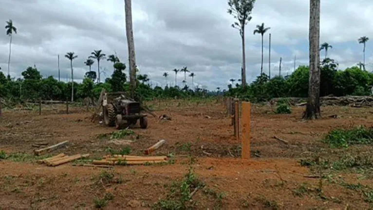Desmatamento em Área de Proteção Ambiental era comandado por pecuarista na região do Xingu