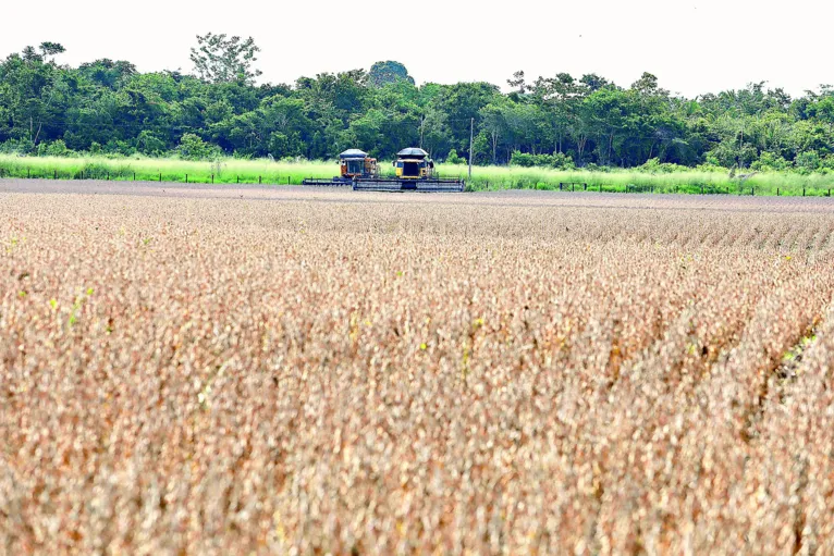 A carne e a soja foram os principais produtos exportados para a China, correspondendo a 93,81% do valor de exportação