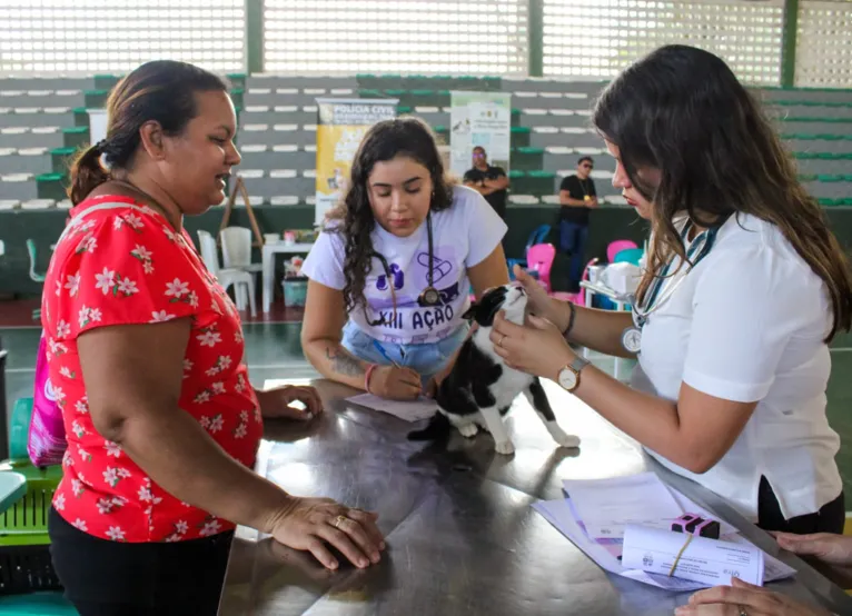 Médicos veterinários vão fazer os atendimentos e serão acompanhados por estudantes do 6º semestre de Medicina Veterinária.