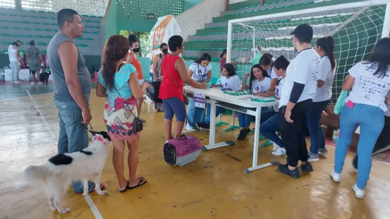 Tutores precisam ter mais de 18 anos e apresentar documento de identificação para cadastrar o animal.