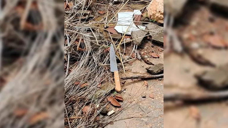 Próximo ao local do crime, a polícia encontrou a faca usada para assassinar a idosa.