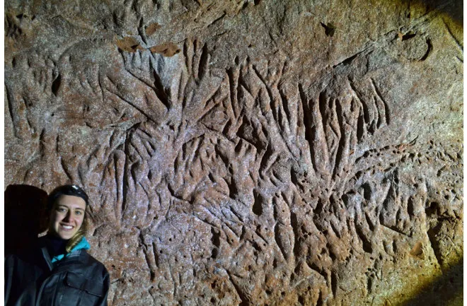 Marcas de garras são sinais claros dos engenheiros que cavaram o túnel.