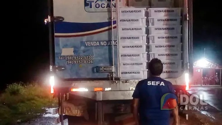 Seis toneladas de pescados foram apreendidos em São João do Araguaia, sudeste do Pará