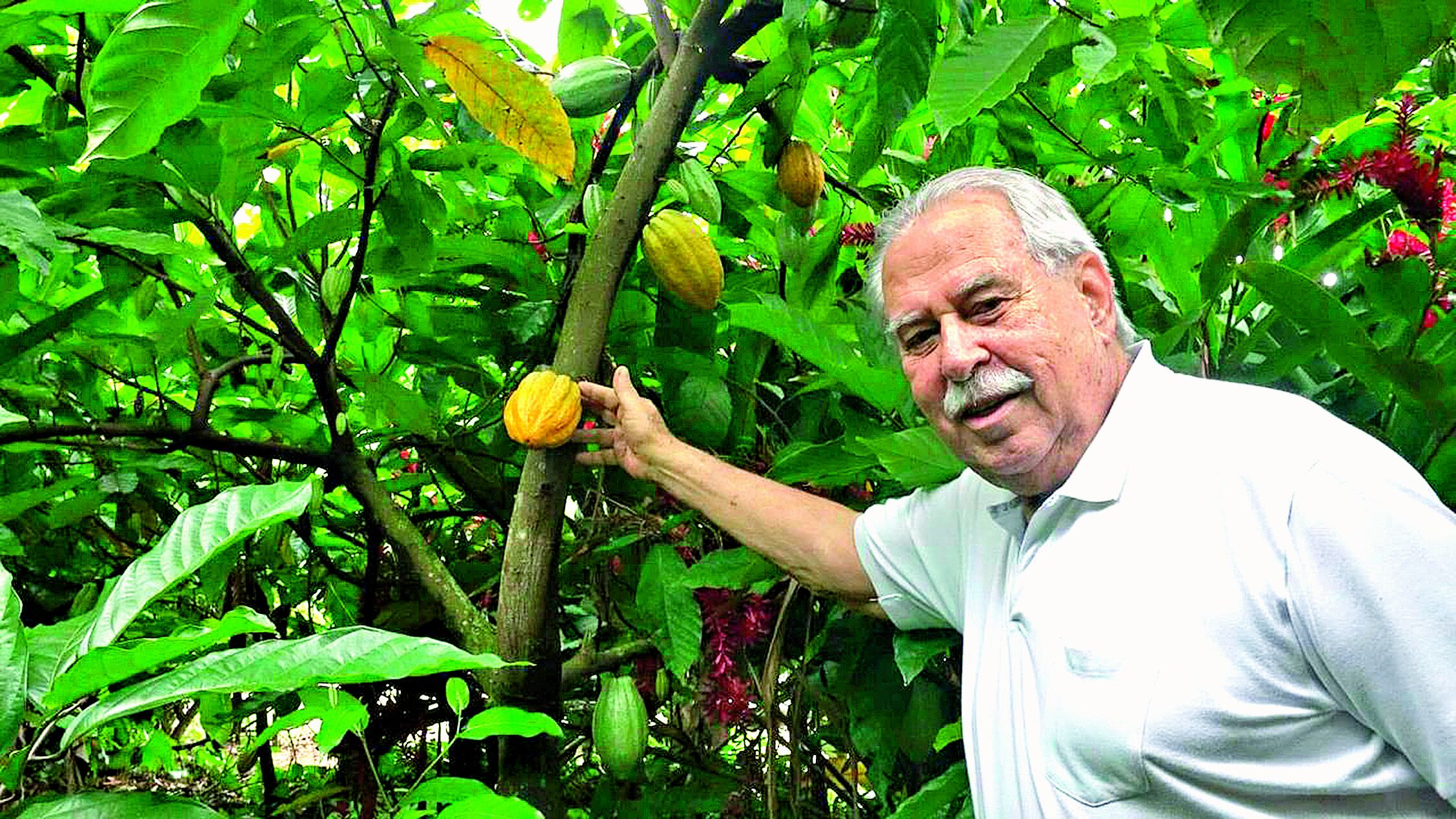 Giovanni Queiroz destaca os principais produtos do agronegócio paraense, que é exportado, como o cacau