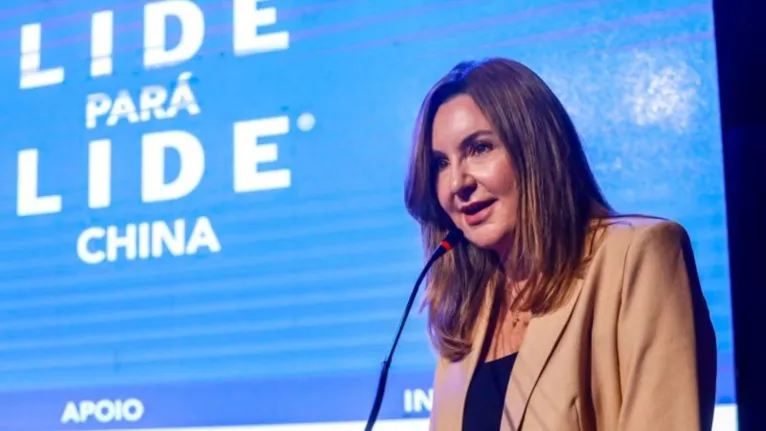 Vice-governadora participa de evento entre Brasil e China