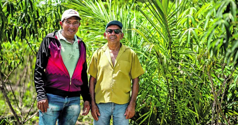 Comunidade de Moju investe em agricultura regenerativa