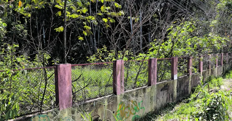 Parque ambiental tomado pelo mato