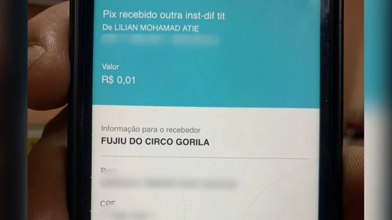 Empresária mandou 200 Pix para personal com ofensas raciais