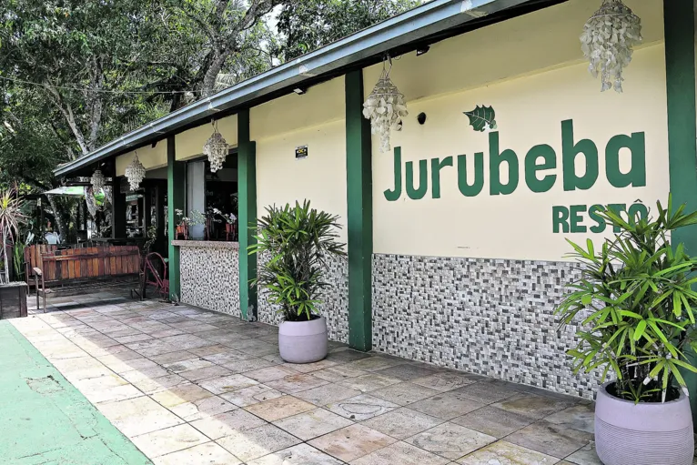Detalhe do Jurubeba