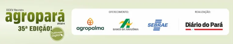 Pará se destaca com a maior cadeia produtiva de abelhas