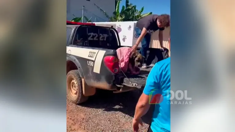 Animal foi levado a Delegacia de Polícia