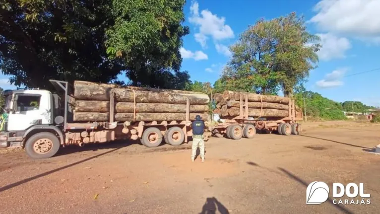 Toras de madeiras apreendidas pela PRF