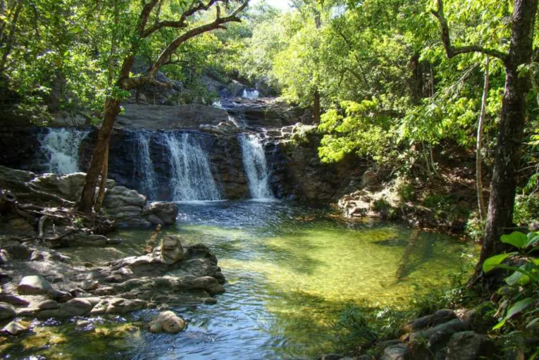 Com atrações para todos os perfis de visitantes, eles proporcionam aproximação com recursos naturais paraenses, e também lazer e diversão.