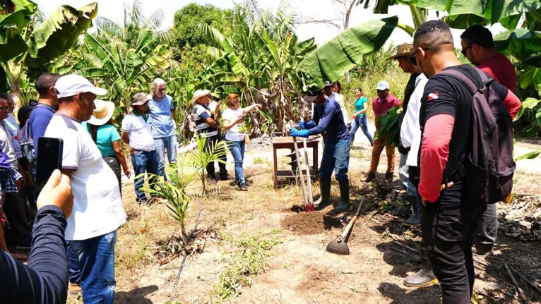 Além das técnicas, os agricultores conheceram sobre o programa território sustentável