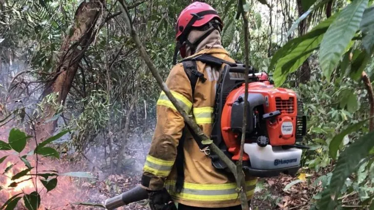 A estiagem ajuda a disseminar os incêndios na região