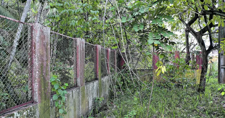 Parque Ambiental de Ananindeua está em estado de abandono