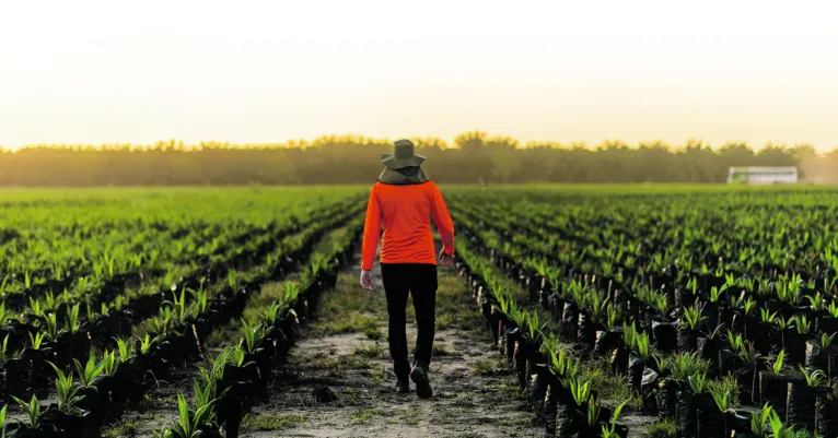 Agropalma completa 42 anos transformando vidas no Pará